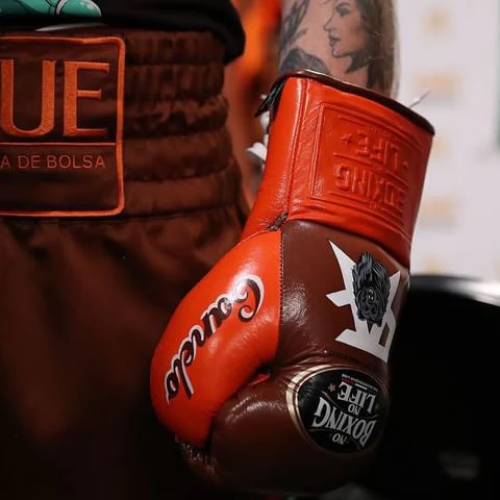 Luva de Treino e de Luta No Boxing No Life - Canelo x Berlanga