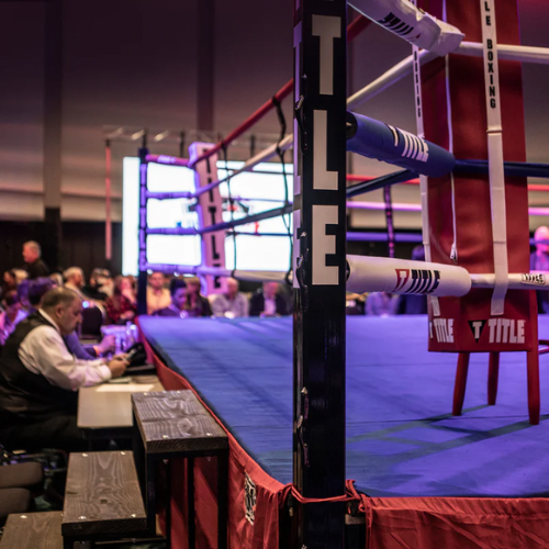Escada de Ringue Profissional Title Boxing