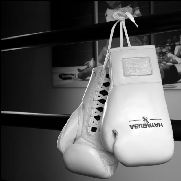 Luva de Boxe Profissional de Crina de Cavalo - Hayabusa Pro Horsehair Fight