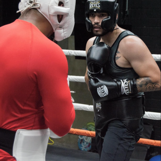 Coquilha comprida Protetora de Rins Cleto Reyes