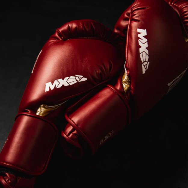 Luva de boxe Everlast MX2 Hook e Look