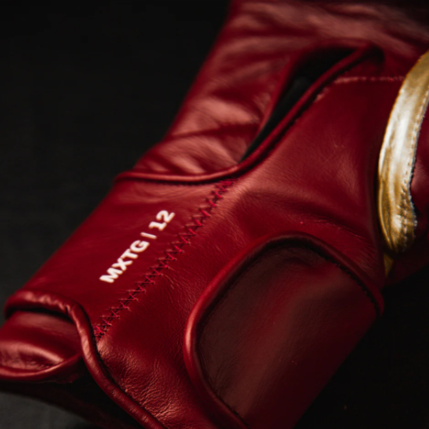 Luva de boxe Everlast MX2 Hook e Look