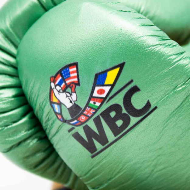 Luva Cleto Reyes edição WBC - velcro e cadarço