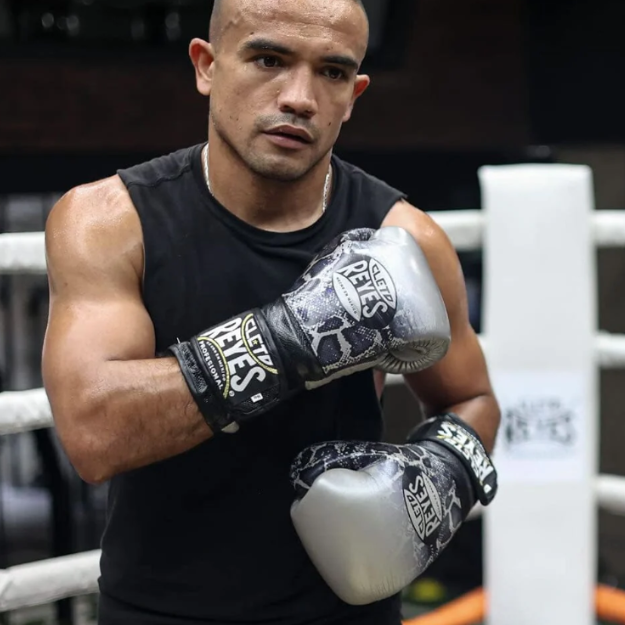 Luva de boxe Cleto Reyes Black Steel Snake - Velcro e cadarço