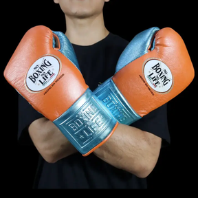Luvas de luta No Boxing No Life