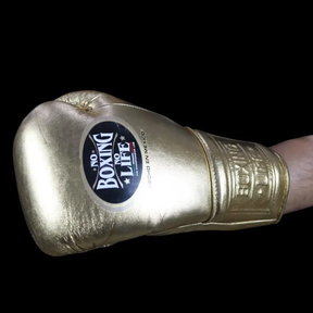 Luvas de luta No Boxing No Life