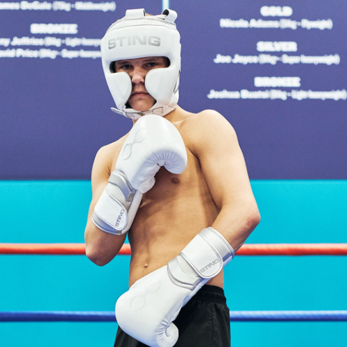 Capacete Sting Viper X