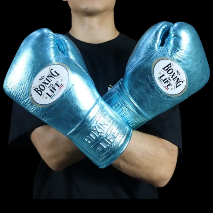 Luvas de luta No Boxing No Life
