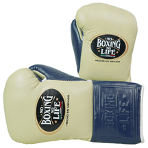 Luva de luta No Boxing No Life