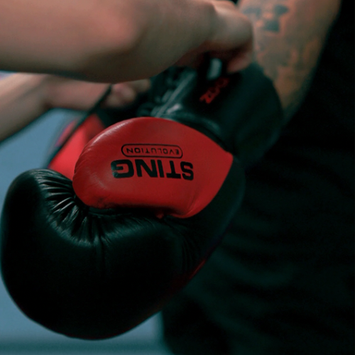 Luva Sting Evolution - Cadarço