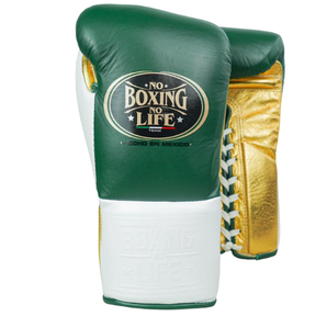 Luva de luta No Boxing No Life