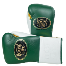 Luva de luta No Boxing No Life