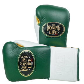 Luva de luta No Boxing No Life