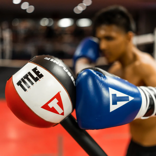 Bola de reflexo Title Boxing - King Cobra
