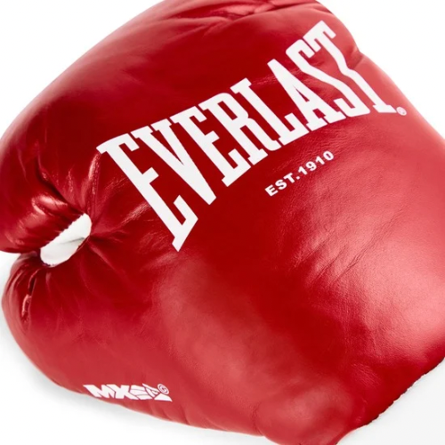Luva de Luta Everlast MX OG - Couro