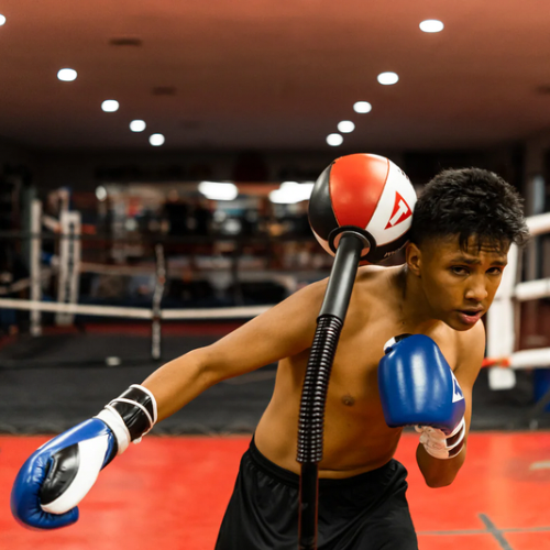 Bola de reflexo Title Boxing - King Cobra