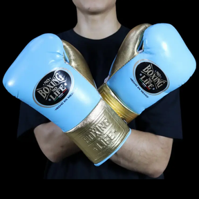 Luvas de luta No Boxing No Life
