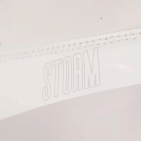 Fly Storm