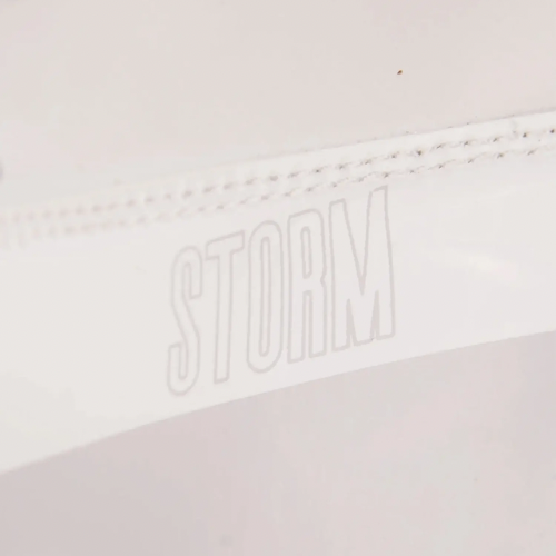 Fly Storm