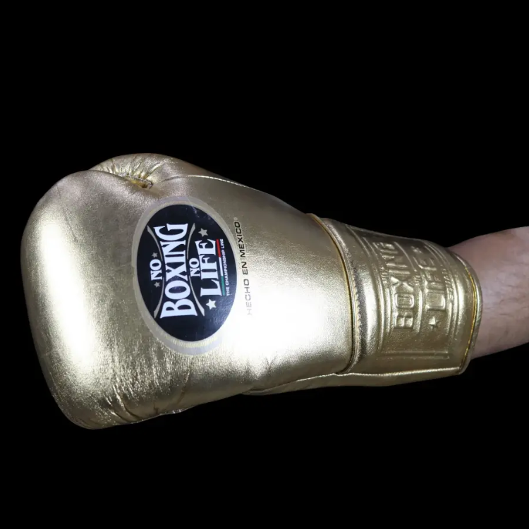 Luvas de treino No Boxing No Life - Cadarço