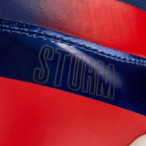 Fly Storm