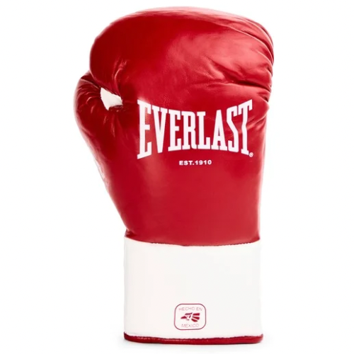Luva de Luta Everlast MX OG - Couro