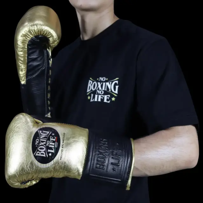 Luvas de luta No Boxing No Life