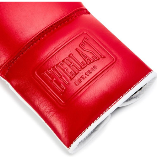 Luva de Luta - Everlast Powerlock OG Pro