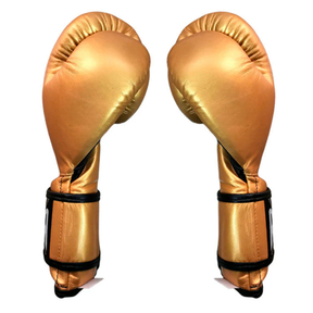 Luva Cleto Reyes Traditional - Velcro