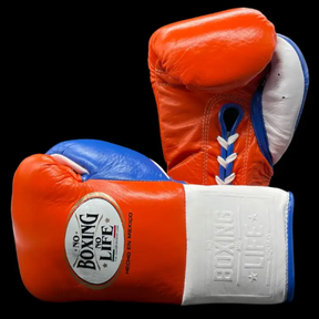 Luvas de luta No Boxing No Life