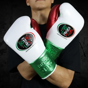 Luvas de luta No Boxing No Life
