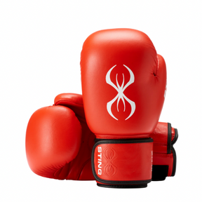 Luva e Luta Sting - Aprovadas para competição pela USA Boxing