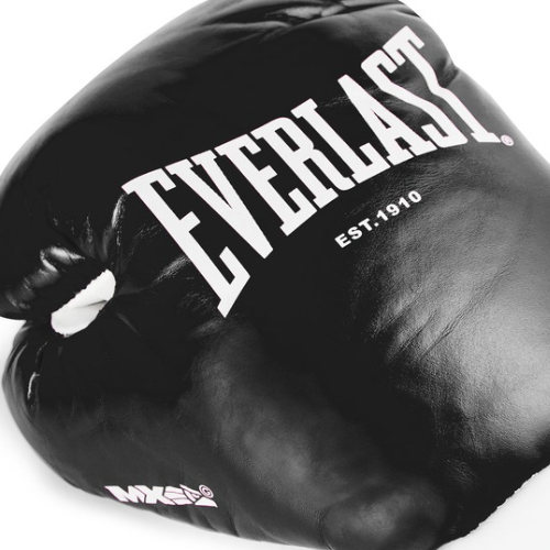 Luva de Luta Everlast MX OG - Couro