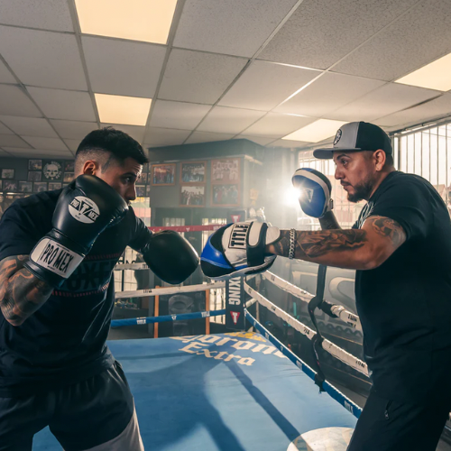 Manopla Title Boxing Flurry Pro - Mini