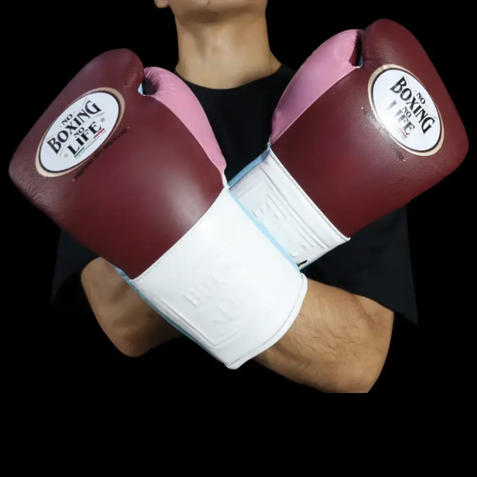 Luvas de luta No Boxing No Life