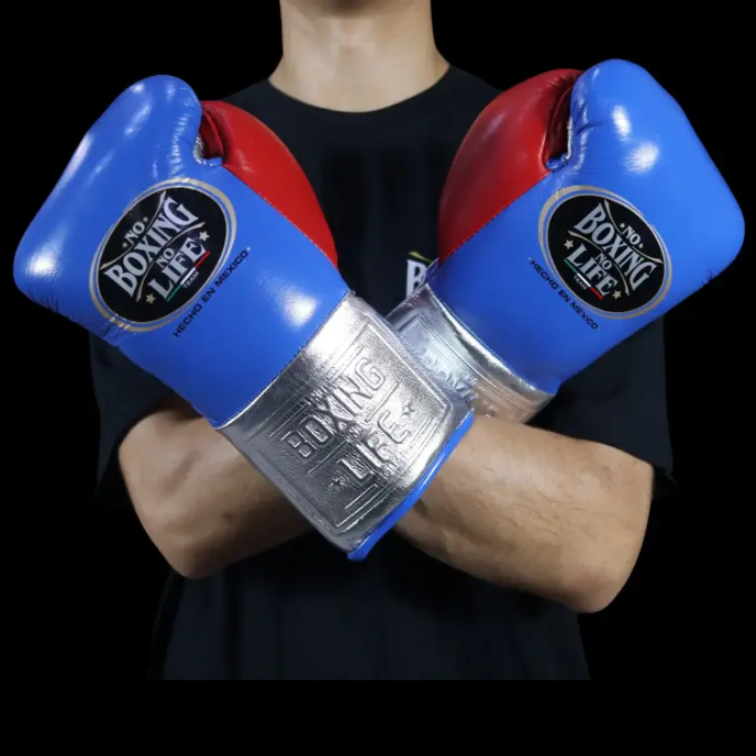 Luvas de luta No Boxing No Life