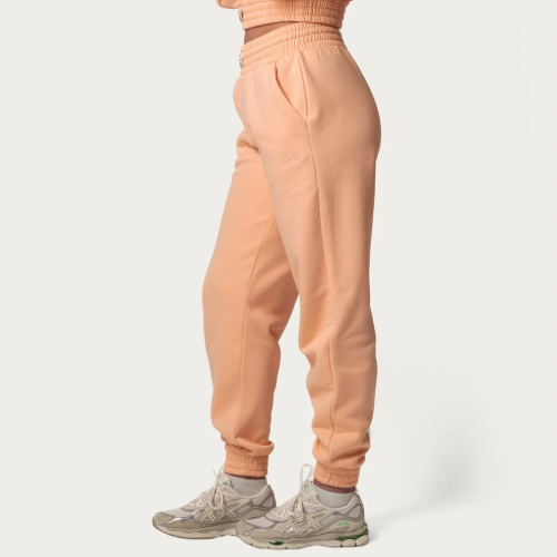 Conjunto feminino Rival - Calça + Moletom Cropped
