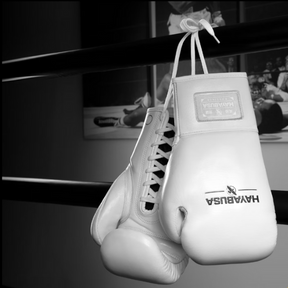 Luva de Boxe Profissional de Crina de Cavalo - Hayabusa Pro Horsehair Fight