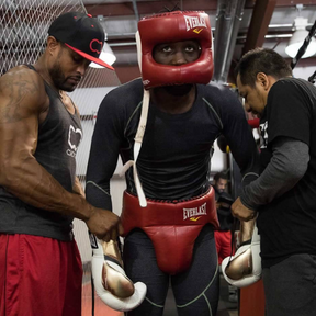 Coquilha Profissional Everlast MX2