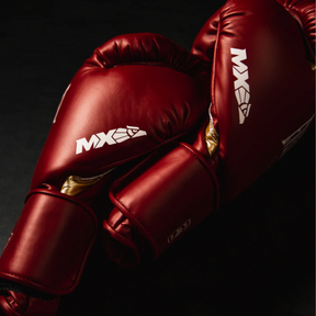 Luva de boxe Everlast MX2 Hook e Look