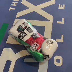Luva de Treino e de Luta No Boxing No Life - Tricolor